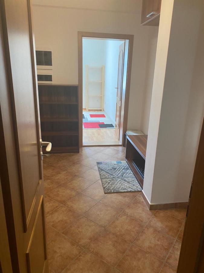 Appartamento Apartmán Meluzína Staré Hamry Esterno foto